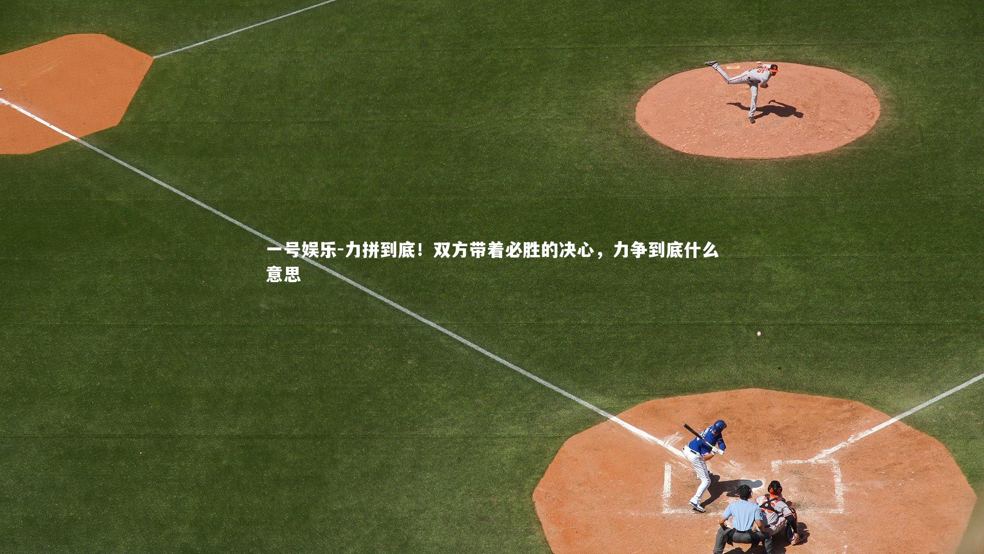 力拼到底!双方带着必胜的决心,力争到底什么意思