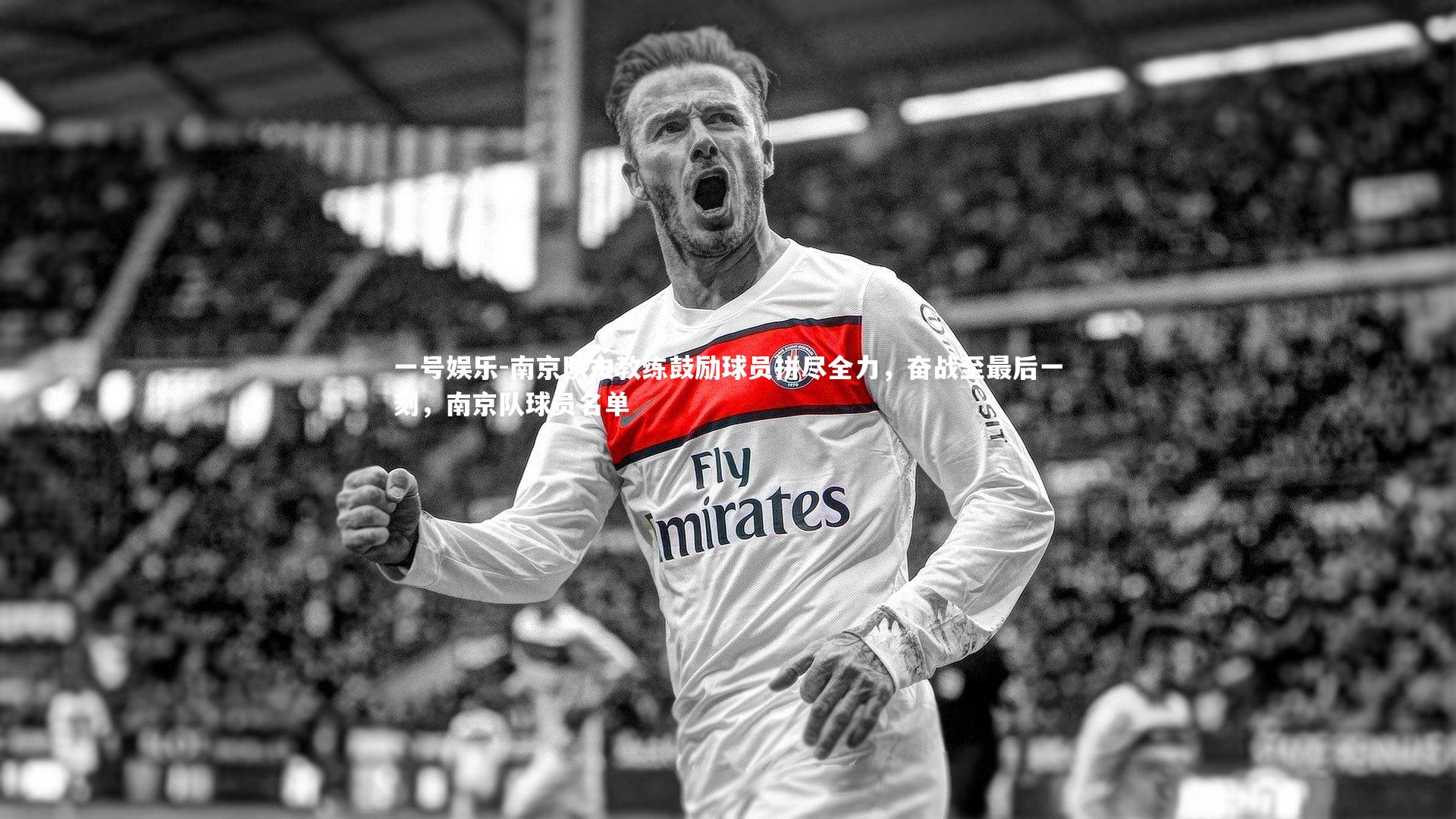 一号娱乐-南京队主教练鼓励球员拼尽全力，奋战至最后一刻，南京队球员名单