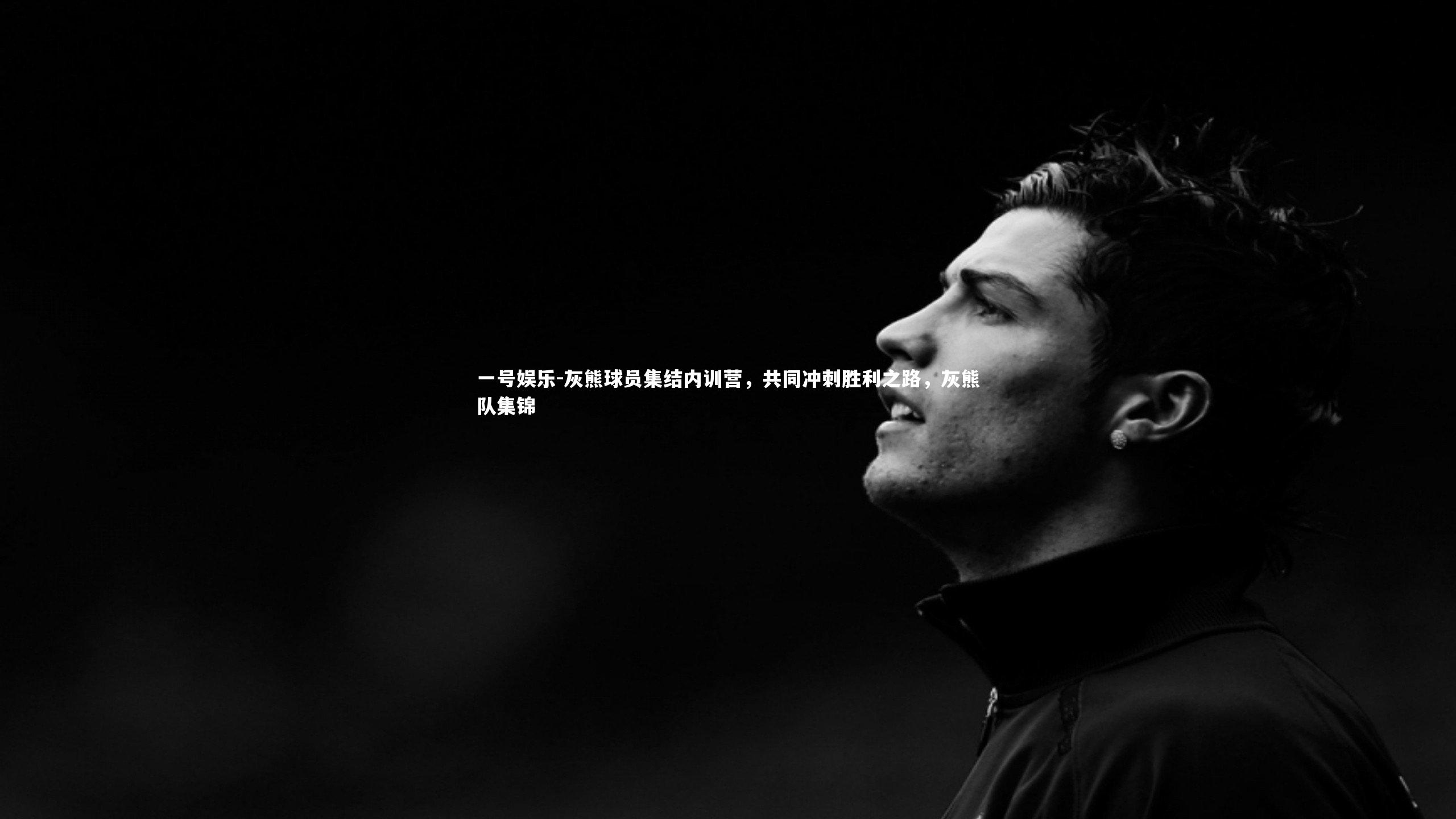 一号娱乐-灰熊球员集结内训营，共同冲刺胜利之路，灰熊队集锦